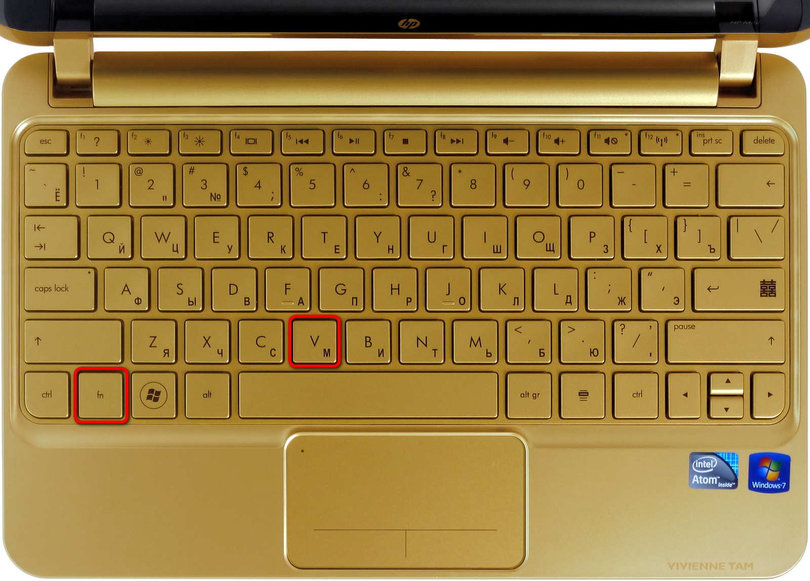 Клавиши для включения камеры на ноутбуке леново